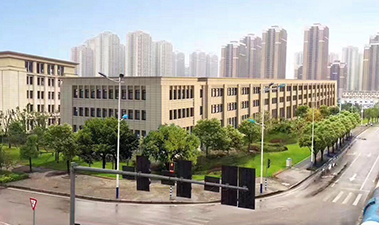 重庆海亮市场